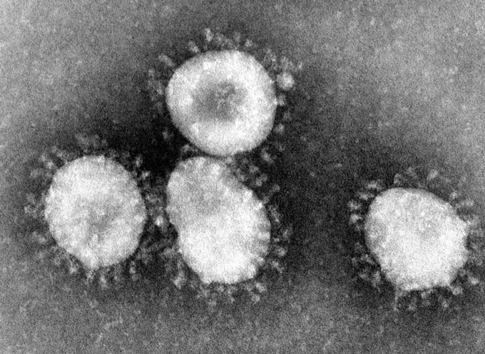 Koronawirus, czy będzie epidemia?